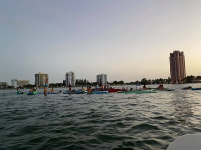 20 people kayaking in the bay in palm beach