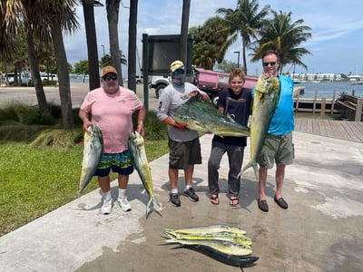 4 man holding 6 big fish