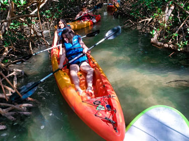 4 people kayaking in a marsh in Sarasota