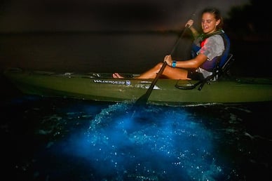 BIOLUMINESCENT TOURS 