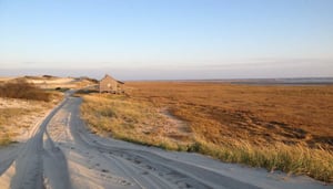 Walking Trails Cape Cod