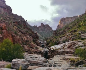 Bear Canyon to Seven Falls Trail