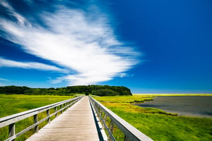 Walking Trails Cape Cod