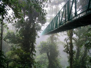 Cañón Verde Rainforest Tour