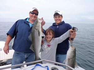 Cape Cod Boat Tours