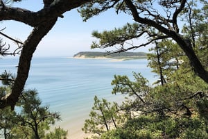 Walking Trails Cape Cod