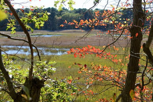 Walking Trails Cape Cod