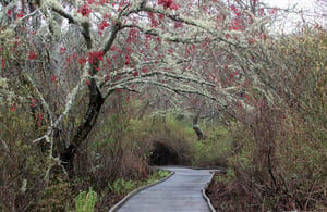 Walking Trails Cape Cod