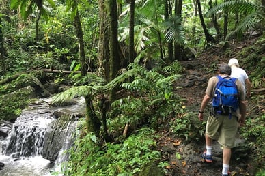 El Yunque Tours Inc.