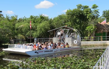 Everglades tour in Florida