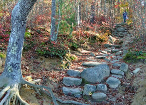 Walking Trails Cape Cod