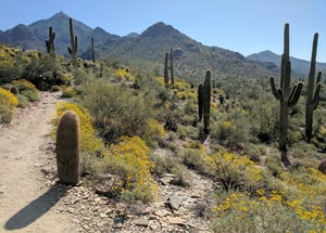 Best things to do in Scottsdale