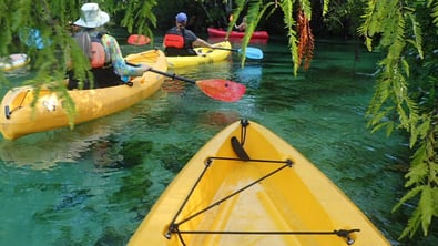 Group of people kayaking in Fort Myers