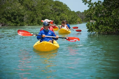 Group of people kayaking in the mangroves in Key West