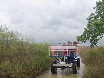 High truck going through the everglades