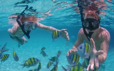 Honolulu snorkeling tour