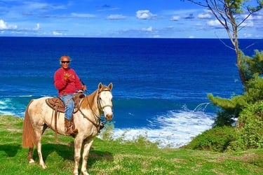 Horseback Riding Tours in maui