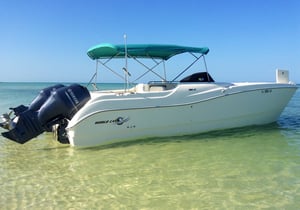 Island Time Dolphin & Shelling Cruises. Boat floating close to shore