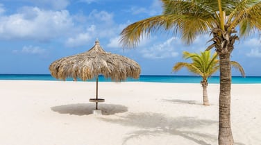 January - March - Aruba