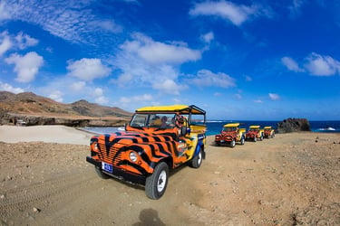 Jeep Safari Tour