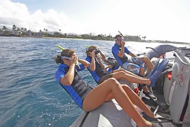 Kauai Searider Adventure Tours