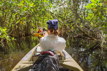 Kayak Nature Tour Key Largo, Florida 3