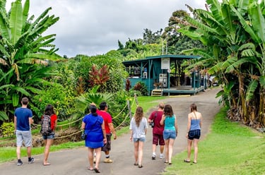 Kona coffee tour on maui