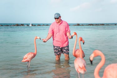 Man in pink shirt on flamingo beach