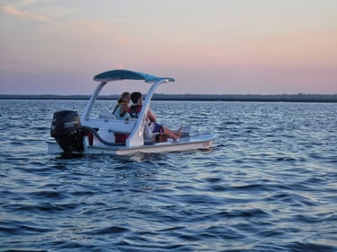 Mini Speed Boat Tour of Amelia Island 6