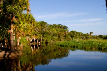 Myakka River sarasota river