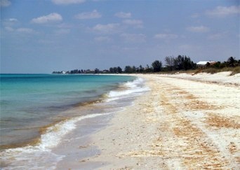 Best Beaches in Sarasota