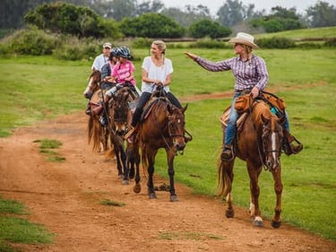 Oahu Horse Back Rides