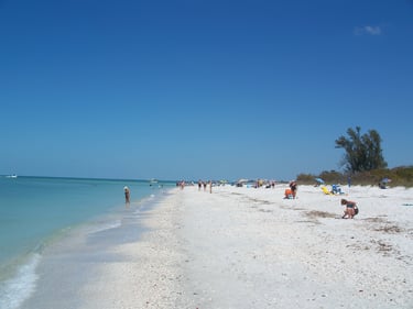 People playing on Delnor-Wiggins Pass State Park