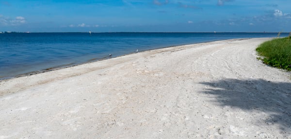 Best beaches in Tampa