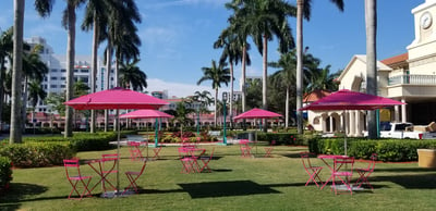 Pink umbrella walking tour