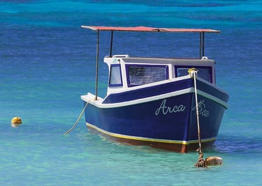 Private Boat Ride Noord, Aruba 5