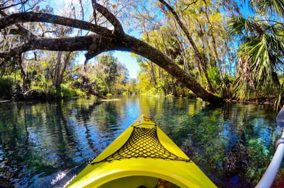 Rainbow Springs