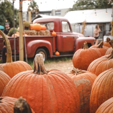 Old vintage red truck covered in hay and pumpkins