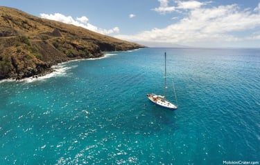 Sale Boat off the coast of Maui