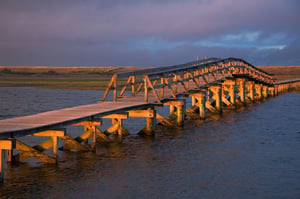 Walking Trails Cape Cod