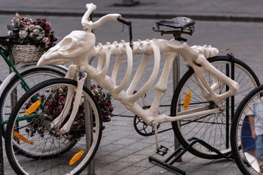 Spooky skelton bike