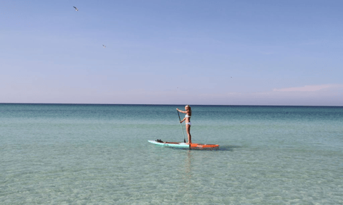 Tampa Bay SUP and Bay Breeze Paddle Adventures