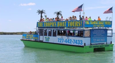 Clearwater dolphin tour