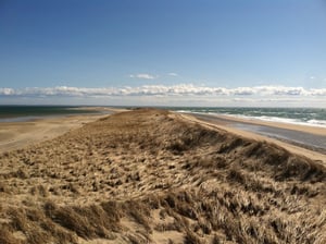 Walking Trails Cape Cod