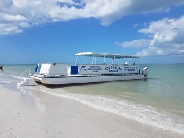 White pontoon boat on St Pete Beach