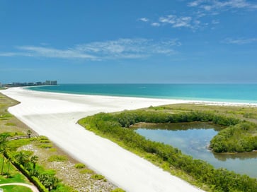 White sand beach with clear blue water