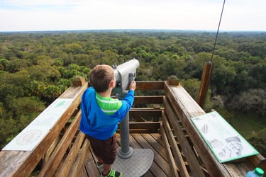 Young boy looking over Myakka State Park