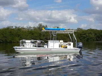 Dolphin Boat tour in Fort Myers