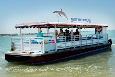 Clearwater dolphin tour