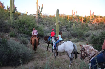 four people riding horses through cactuses